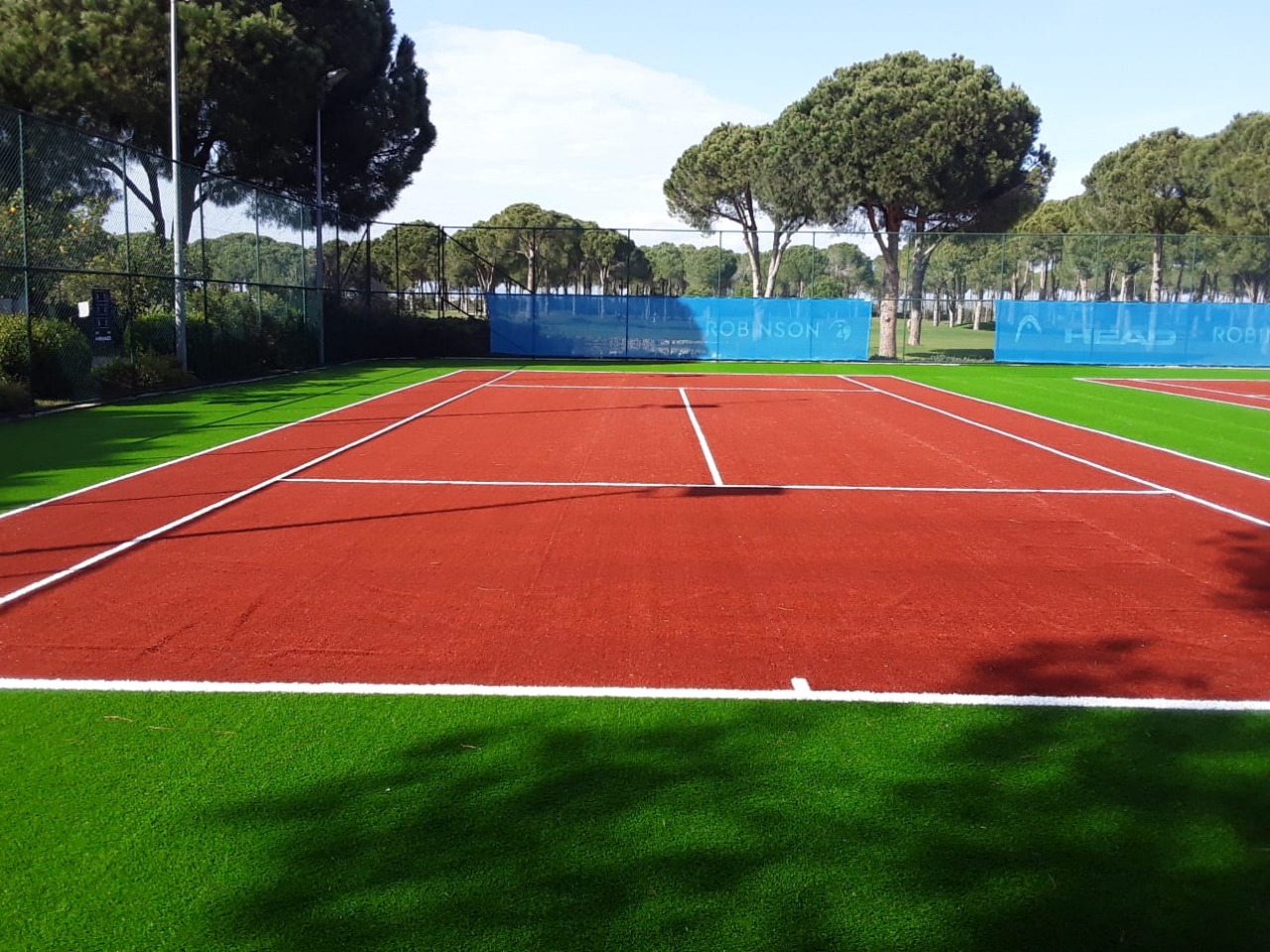 Tennis Grass
